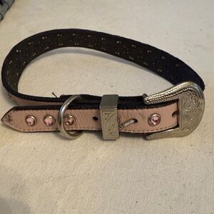 Pink and Black Dog Collar with Silver Buckle